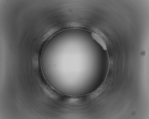 X0000096960158200802151243