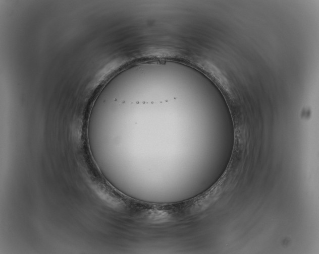 X0000096960159200802151243