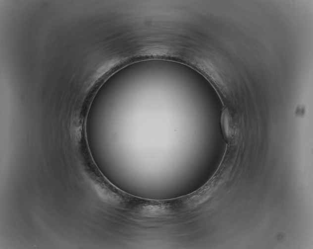 X0000096960160200802151243