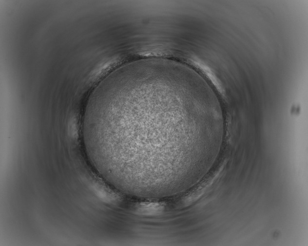 X0000096960161200802151244