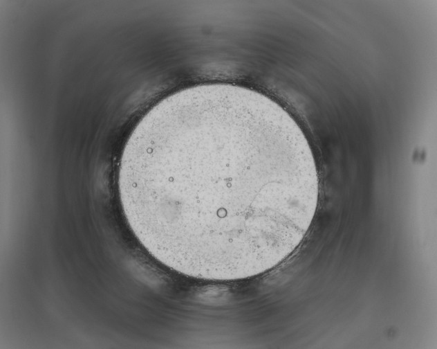 X0000096960162200802151244