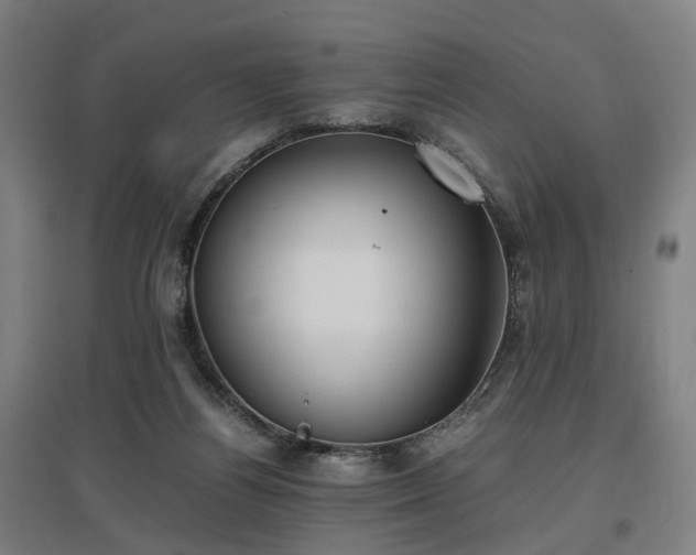 X0000096960164200802151244