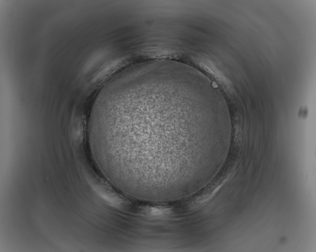 X0000096960165200802151244