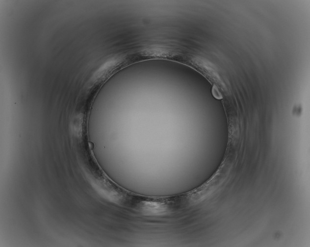 X0000096960167200802151244