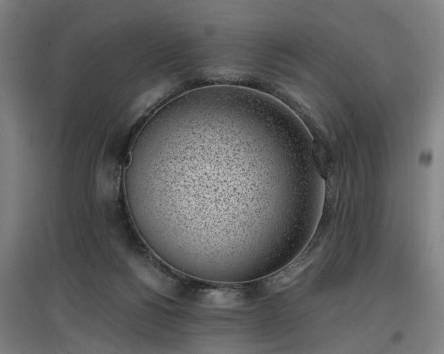 X0000096960168200802151244