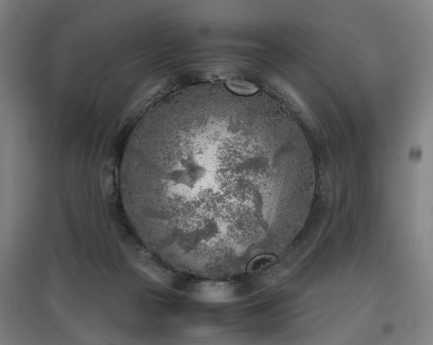 X0000096960169200802151244