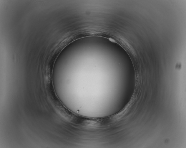 X0000096960170200802151244