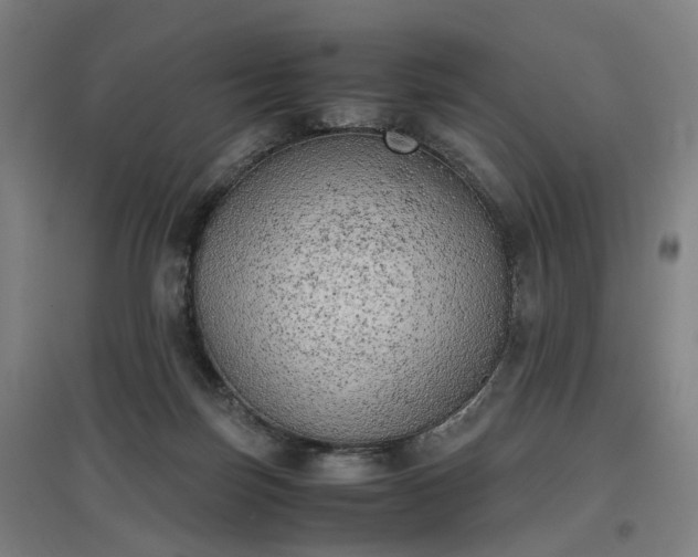 X0000096960171200802151244