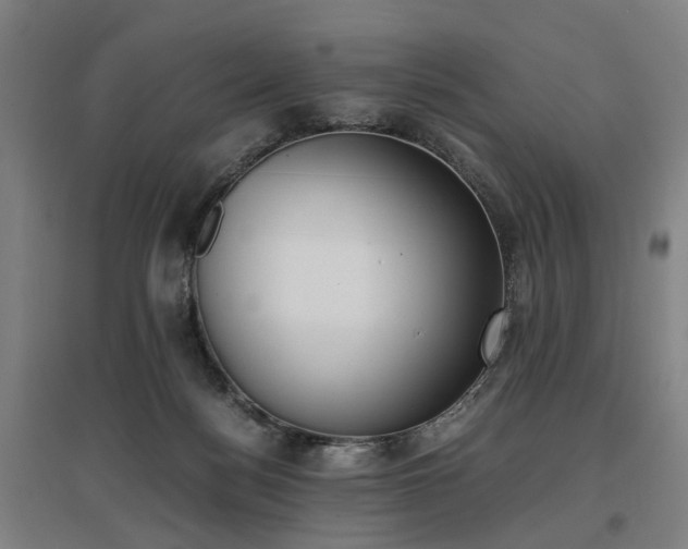 X0000096960172200802151244