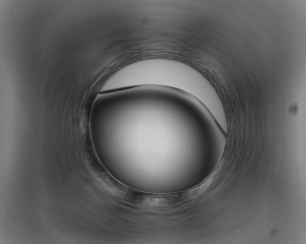 X0000096960174200802151244