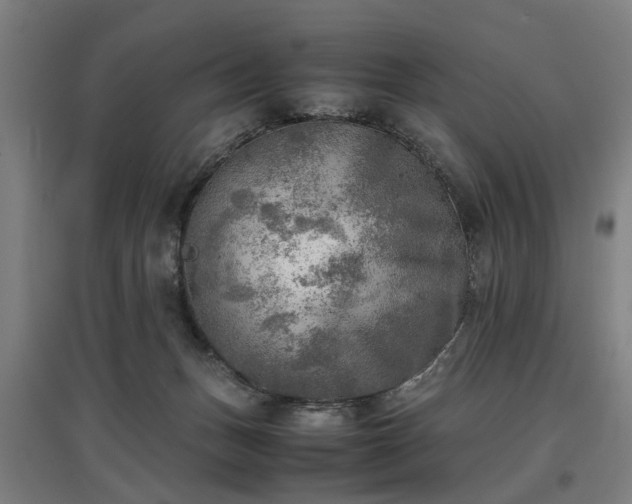 X0000096960175200802151244