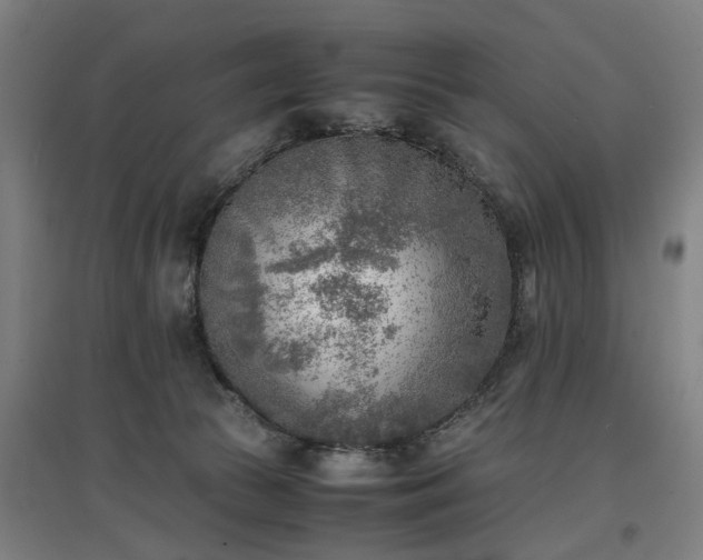 X0000096960177200802151244