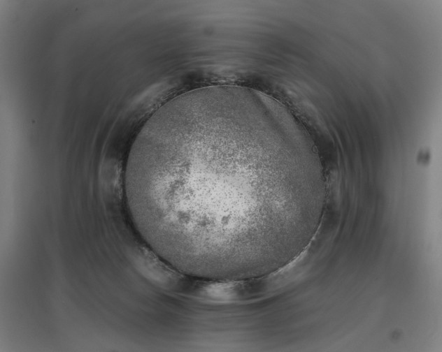 X0000096960178200802151244