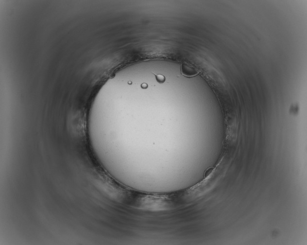 X0000096960179200802151244