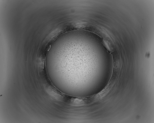 X0000096960180200802151244