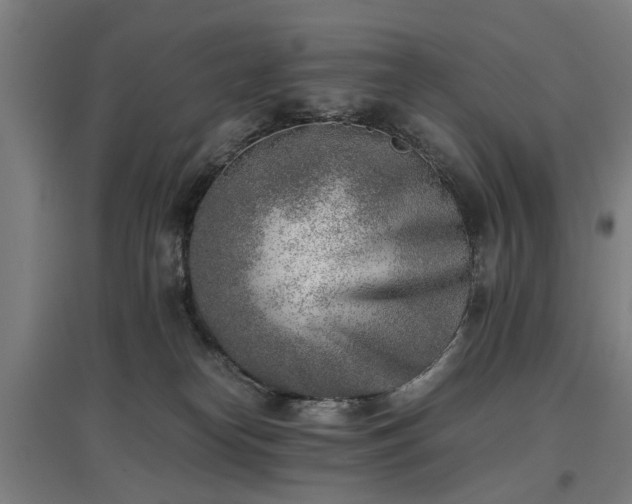 X0000096960182200802151244