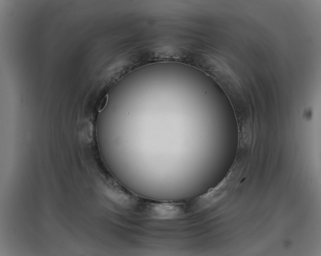 X0000096960183200802151244