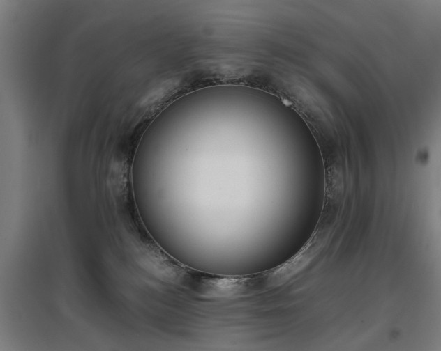 X0000096960184200802151244