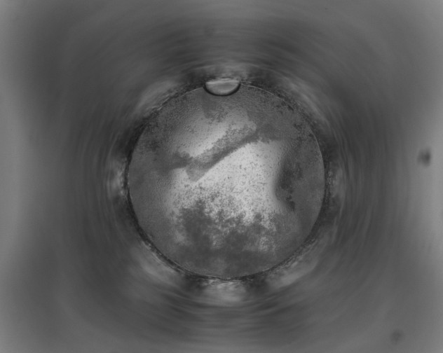 X0000096960185200802151244