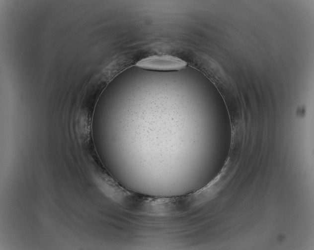 X0000096960186200802151244