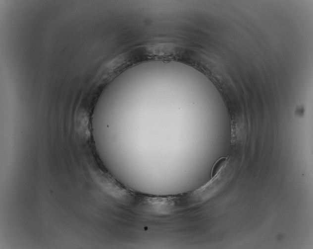 X0000096960187200802151244