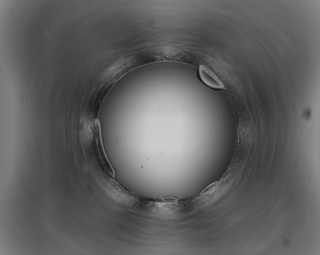 X0000096960188200802151244