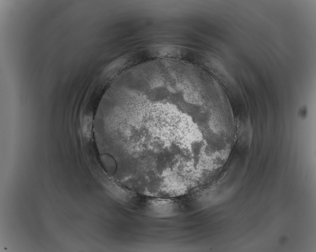 X0000096960189200802151244