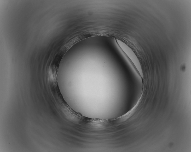 X0000096960190200802151244