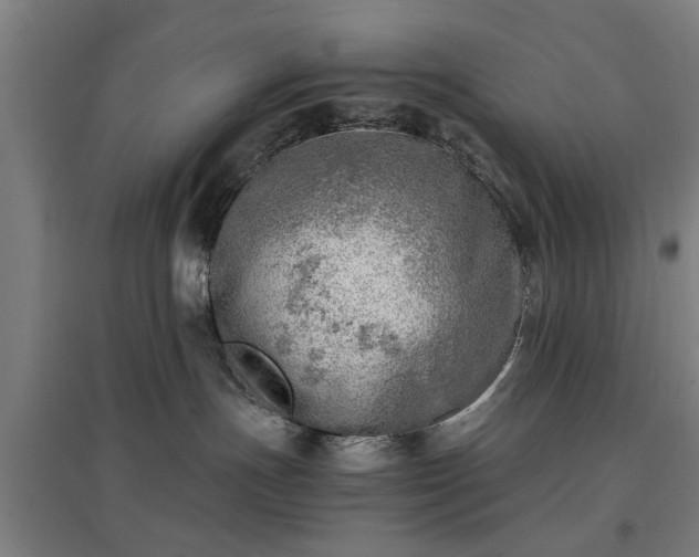 X0000096960191200802151244