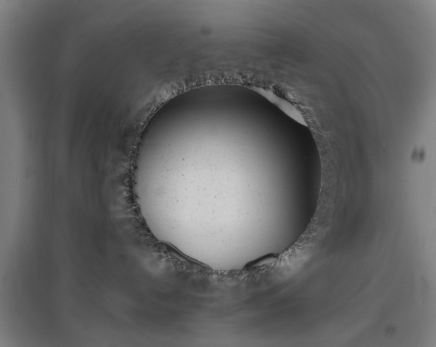 X0000096960192200802151244