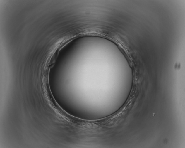 X0000096960193200802151243