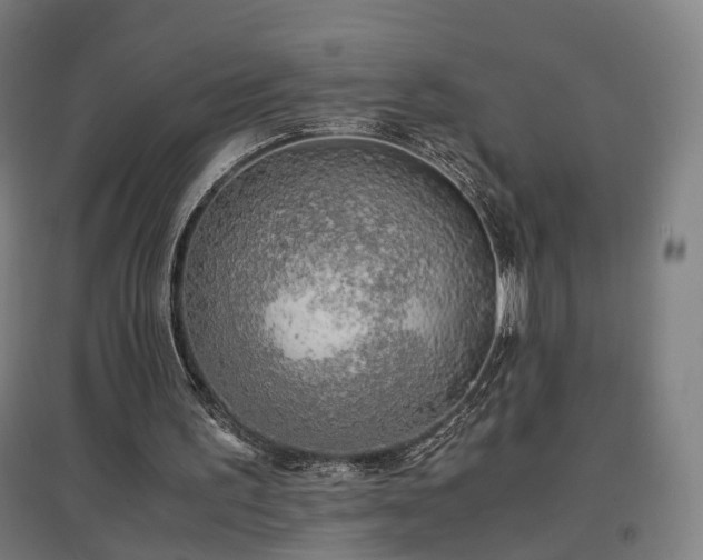 X0000096960195200802151243