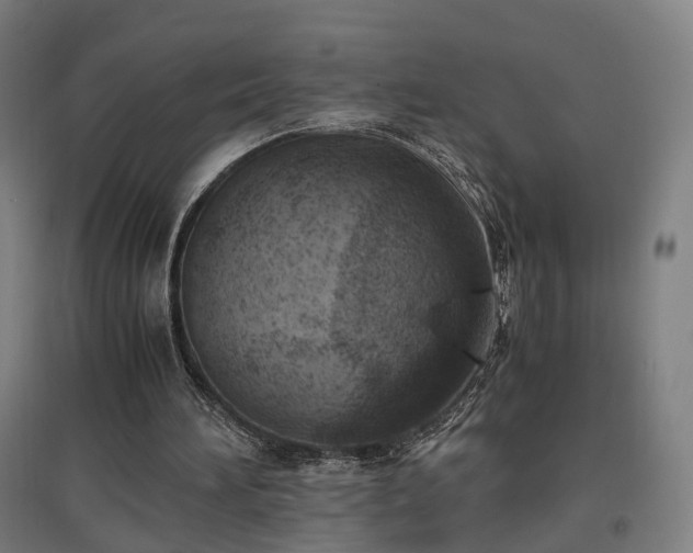 X0000096960196200802151243