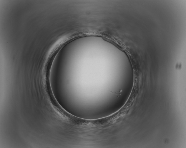 X0000096960197200802151243