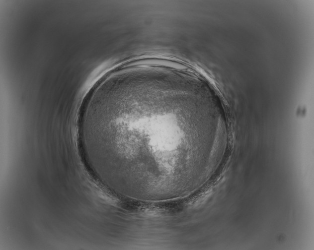 X0000096960199200802151243