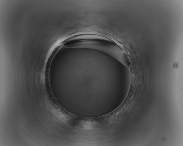 X0000096960200200802151243