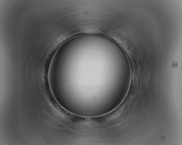 X0000096960201200802151243