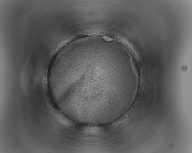 X0000096960202200802151243