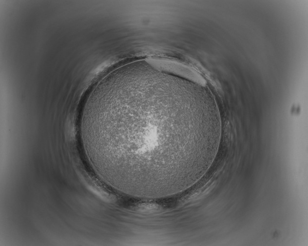 X0000096960203200802151243