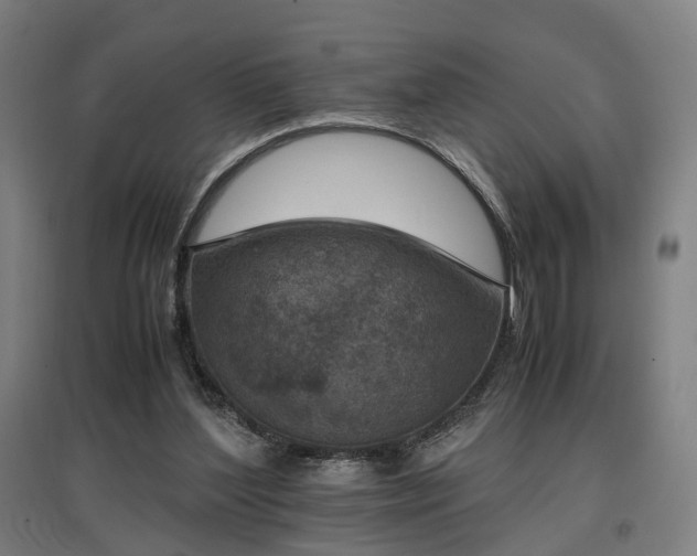 X0000096960204200802151243