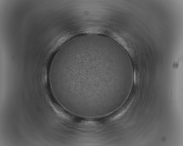 X0000096960205200802151243