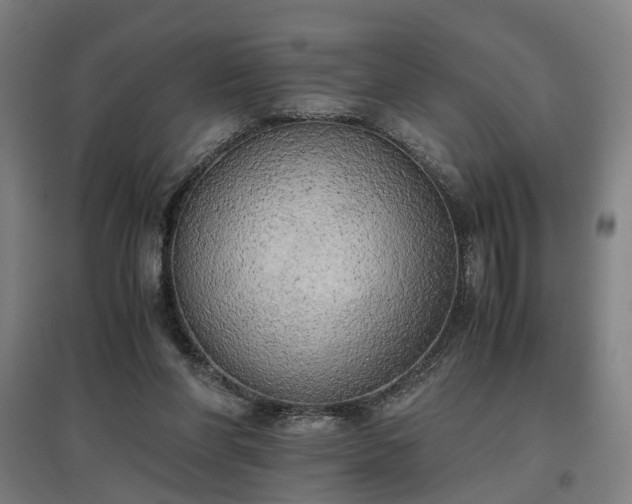 X0000096960206200802151243