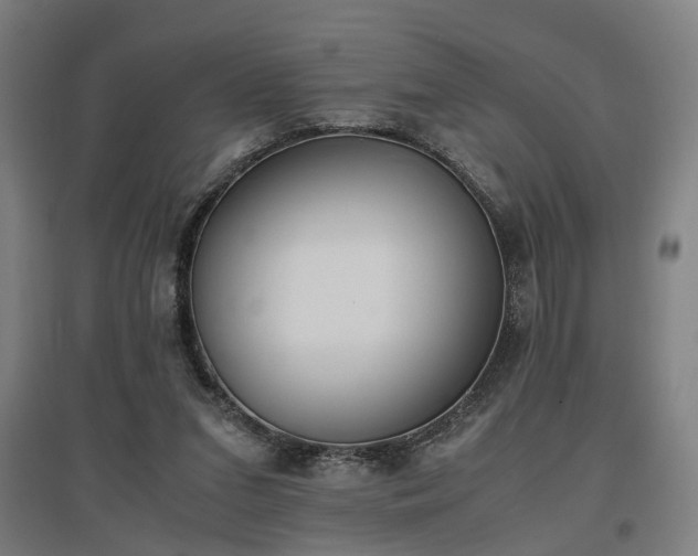 X0000096960207200802151243