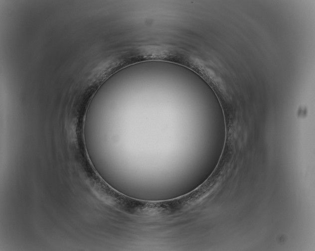 X0000096960209200802151243