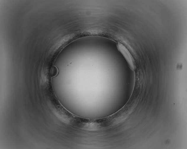 X0000096960212200802151243