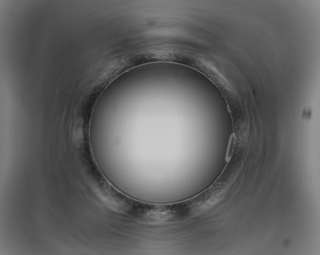 X0000096960213200802151243