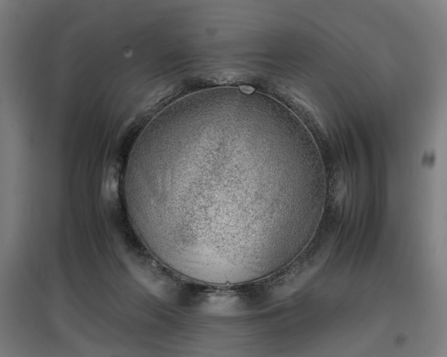 X0000096960214200802151243