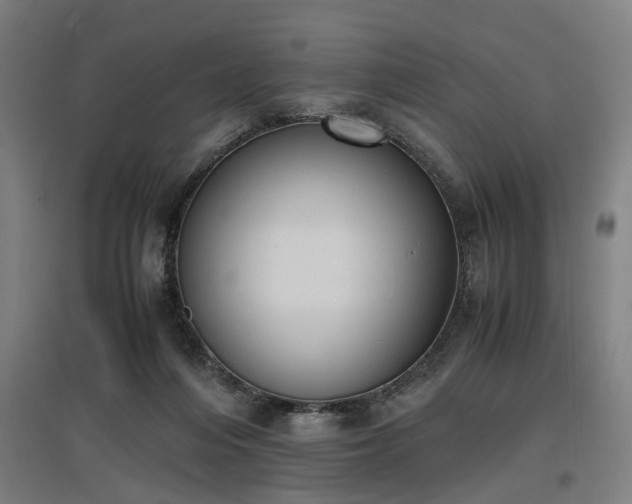 X0000096960216200802151243