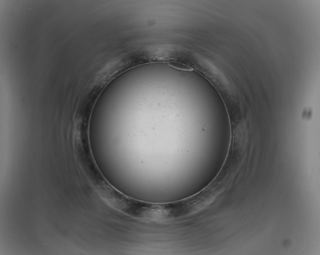 X0000096960217200802151243