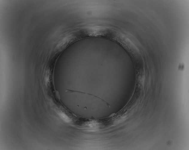 X0000096960219200802151243